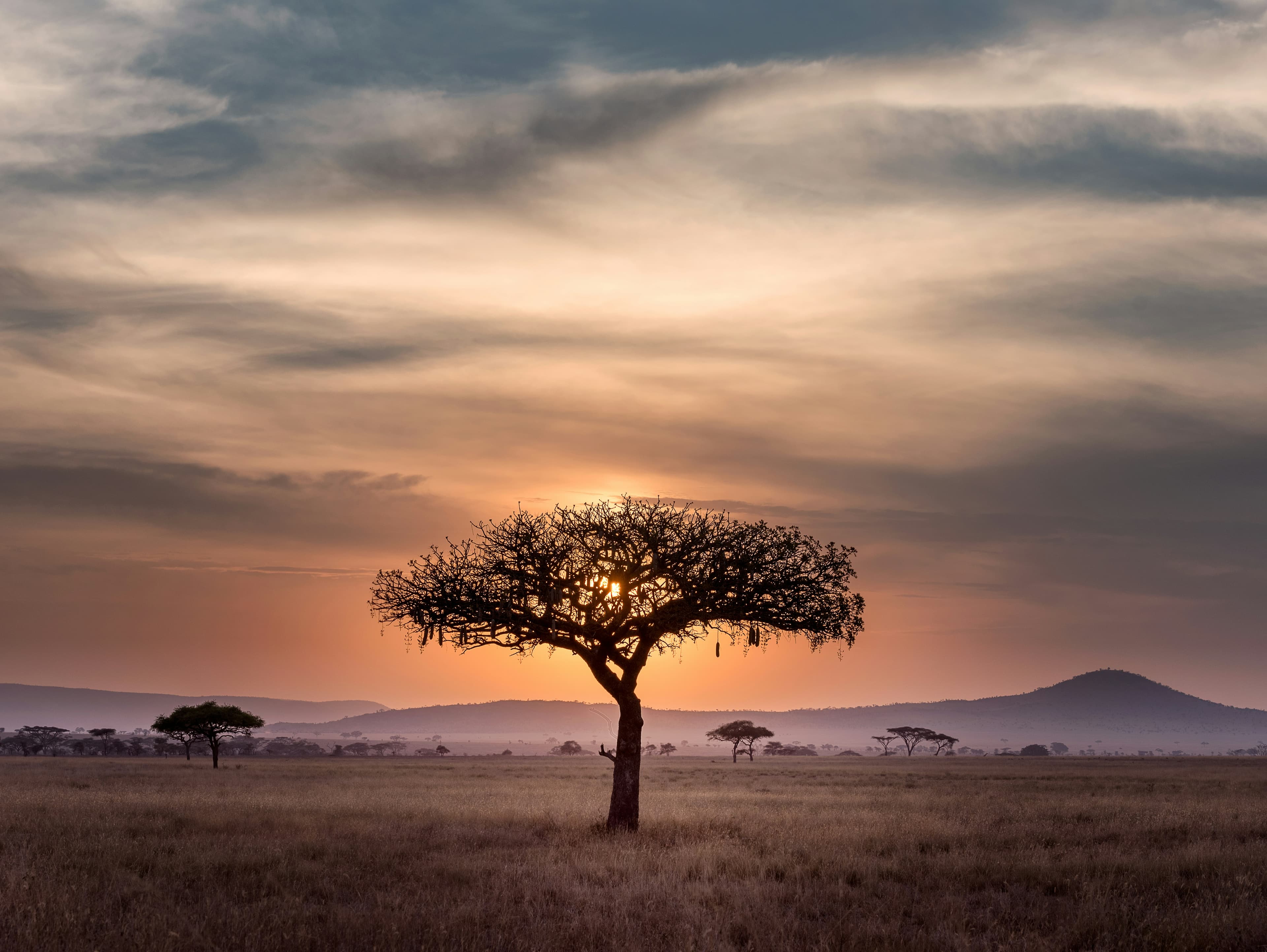 Photography Safari