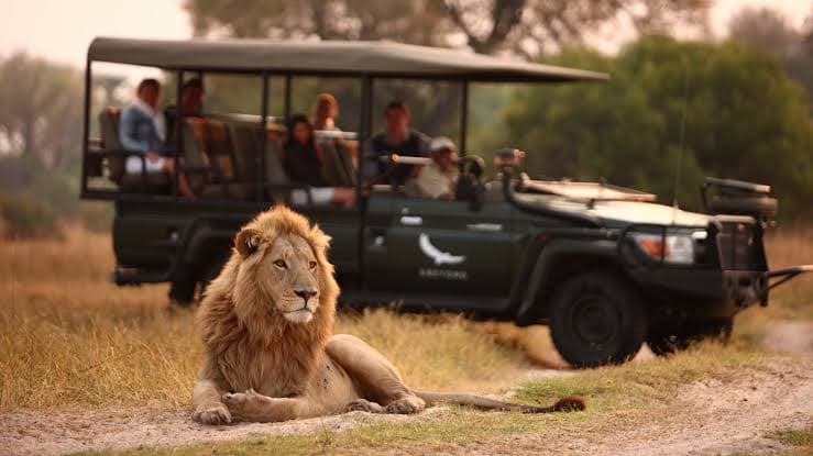 Okavango Experience